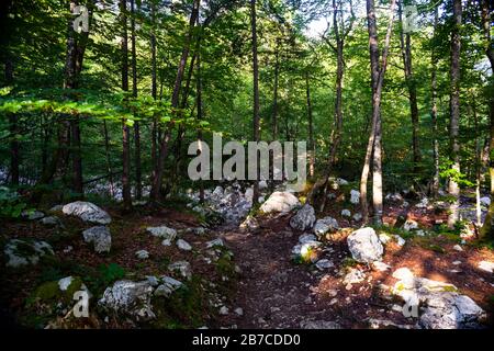 Ausgetrockneter Fluss voller Felsen in der Sommersaison, Slowenien Stockfoto