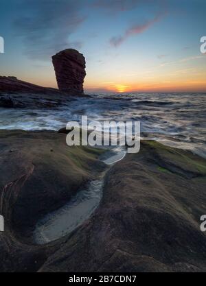 The Deil's Heid (Devils Head) Sea Stack, Seaton Cliffs, Arbroath, Angus, Stockfoto