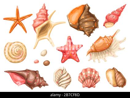 Set mit Muscheln. Tropische Weichtierschalen unter Wasser. Stock Vektor