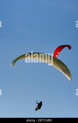 Zwei Gleitschirmflieger fliegen in einem blauen Himmel. Stockfoto