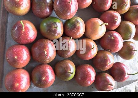 dh PNG-Markt AOTAU PAPUA-NEUGUINEA Passion Fruit Markets Produktdisplays Stockfoto