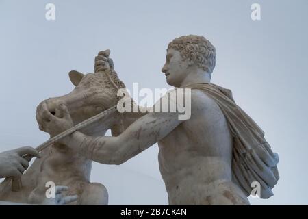 Eine Marmorstatue des Toro Farnese, auch bekannt als Farnese Bull im Archäologischen Museum der Nation von Neapel in Italien Stockfoto