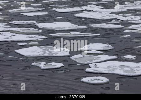 Eis an der Trinity Bay im englischen Hafen von Neufundland, Kanada Stockfoto