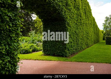 Der Royal Botanic Garden Edinburgh ist ein wissenschaftliches Zentrum für die Erforschung von Pflanzen, ihrer Vielfalt und Erhaltung sowie ein beliebter Touristenattraktion Stockfoto
