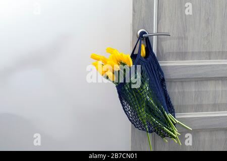 Gelbe Tulpen in einem marineblau umweltfreundlichen Saitenbeutel, der an einer beigefarbenen Tür hängt. Stockfoto