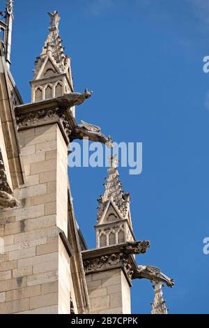 Nahaufnahme der Wasserspeier in der Kathedrale Notre Dame in Paris, Frankreich, Europa Stockfoto