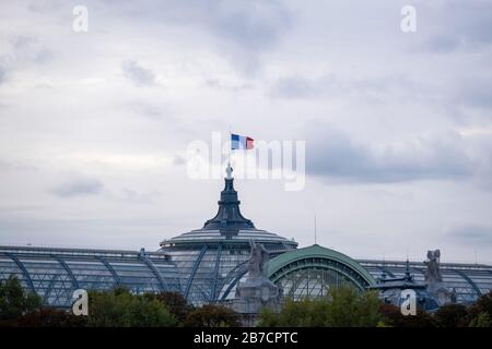 Grand Palais des Beaux-Arts alias Grand Palais des Champs-Elysées in Paris, Frankreich, Europa Stockfoto