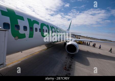 Passagiere, die ein Flugzeug in Transavia auf einer Start- und Landebahn des Flughafens boten Stockfoto