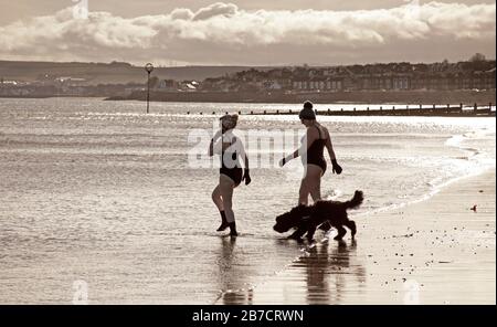 Portobello, Edinburgh, Schottland, Großbritannien. März 2020. Wetter in Großbritannien, sonnig und bewölkt bei 8 Grad und Windgeschwindigkeit bei 33 km/h, aber geschätzte Böen von 65 km/h, die Sand und Meerwasser aufschlagen. Wilde Schwimmer und Badegäste tauchen regelmäßig im Firth of Forth ein. Stockfoto