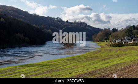 River Wye in Flood unterhalb Von Kerne Bridge, Herefordshire, Großbritannien Stockfoto