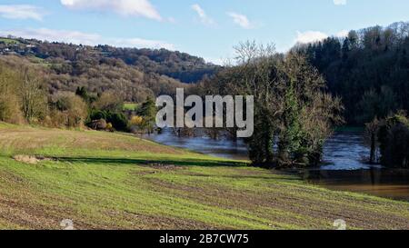 River Wye in Flood unterhalb Von Kerne Bridge, Herefordshire, Großbritannien Stockfoto