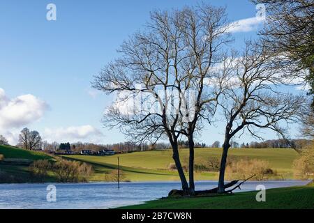 Bäume am Fluss Wye in Flut unterhalb Der Kernebrücke, Herefordshire, Großbritannien Stockfoto