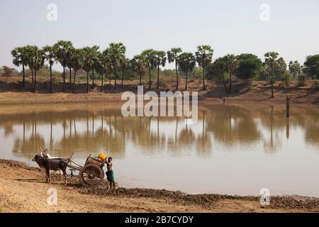 Wasserversorgung, Land zwischen Nyaung U und Popa Mountain, Mandalay Region, Myanmar, Asien Stockfoto