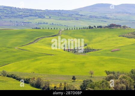Kleiner Teich auf einem Feld in einer ländlichen Landschaft Stockfoto