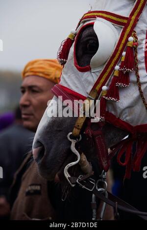 Sindirgi, Balikesir/Türkei - 15.11.2015: Ein Blick aus dem türkischen Javelin-Spiel während des Etnospor Culture Festivals. Stockfoto