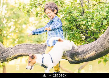 Boy and dog playing together in park on good spring weather day Stockfoto