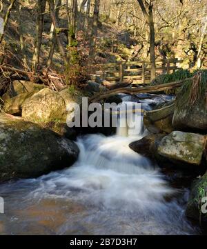 Burbage Brook, Padley Gorge, Longshaw Estate, Peak District National Park, Derbyshire, England, Großbritannien Stockfoto