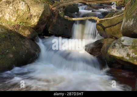 Burbage Brook, Padley Gorge, Longshaw Estate, Peak District National Park, Derbyshire, England, Großbritannien Stockfoto