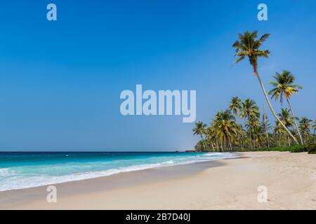 Exotischer tropischer Strand mit Kokospalmen und blauem Ozean unter blauem Himmel in GOA, Indien Stockfoto