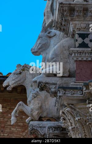 Kunstvoll geschnitzte Marmorskulpturen eines Pferdes und eines Stiers an der Fassade des Doms von Siena (Duomo di Siena), Siena, Toskana, Italien. Stockfoto