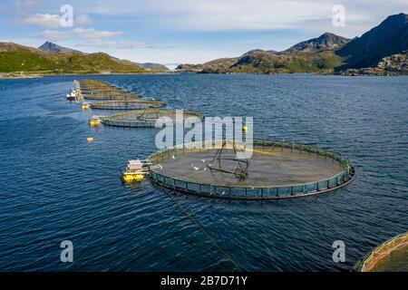 Bauernhof Lachs Angeln in Norwegen. Norwegen ist der größte Produzent von Zuchtlachs in der Welt, mit mehr als einer Million Tonnen pro Jahr produziert werden. Stockfoto