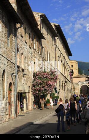 Via Frate Elia, Assisi Altstadt, Umbrien, Italien Stockfoto
