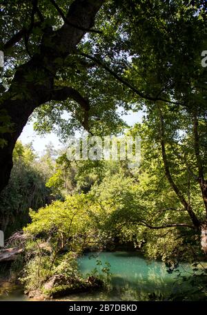 Blick auf den Wasserfall und den Wald. Kursunlu Wasserfall Park, Antalya, Türkei. Stockfoto