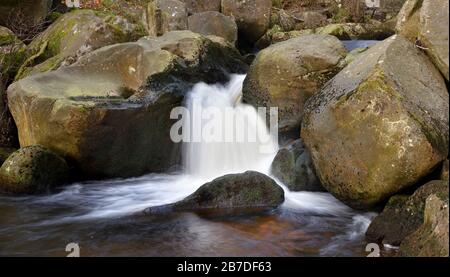 Burbage Brook, Padley Gorge, Longshaw Estate, Peak District National Park, Derbyshire, England, Großbritannien Stockfoto