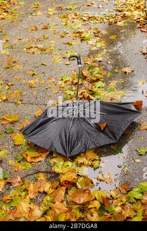 Gebrochener Regenschirm in nassen Blättern Stockfoto