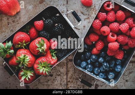 Gesundes veganes Sommeressen. Flat-lay von frischen, saisonalen Erdbeeren, Himbeeren, Blaubeeren und Brombeeren in Lunchboxen über grauem Hintergrund, Oberteil Stockfoto