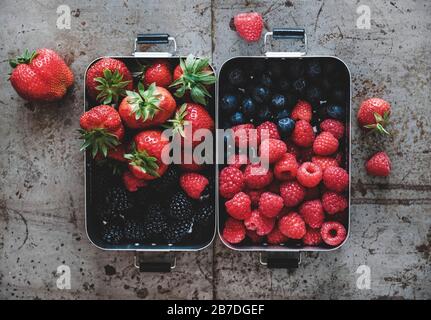 Gesundes veganes Sommeressen. Flat-lay von frischen, saisonalen Erdbeeren, Himbeeren, Blaubeeren und Brombeeren in Lunchboxen über grauem Hintergrund, Oberteil Stockfoto