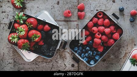 Gesundes veganes Sommeressen. Flat-lay von frischen, saisonalen Erdbeeren, Himbeeren, Blaubeeren, Brombeeren in Metalllunchboxen über rauem grauem Backgr Stockfoto