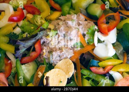 Nahaufnahme eines frischen, organischen Gartensalats in einem Regenbogen mit einigen Tuna und Eiern für Eiweiß Stockfoto