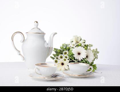 Frische weiße Gänseblümchen und grüne Blätter schmücken den Tisch für Teezeit mit antiken Tassen und Untertöpfen auf weißem Hintergrund mit Raum Stockfoto