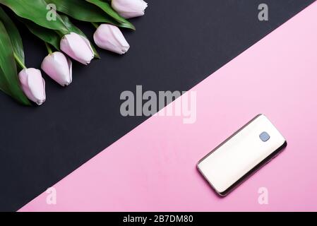 Grußkarte mit Handy und federrosa Tulpen blühen auf einem duotonen diagonalen Hintergrund. Stockfoto