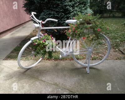 Dekoratives Vintage-Modell altes weißes Fahrrad mit Blumen darauf, im Hinterhof stehend. Stockfoto