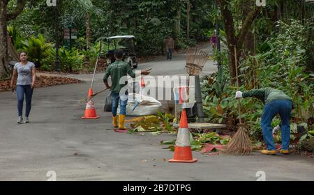 Gärtner bei der Arbeit im Botanischen Garten von Singapur, Stockfoto