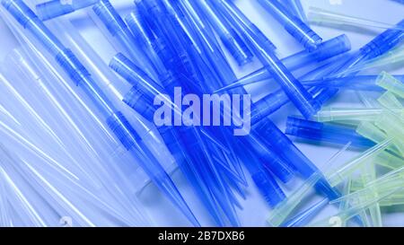 Blaue und gelbe universelle Laborpipettenspitzen. Labor- und Wissenschaftsmaterialkonzept. Stockfoto