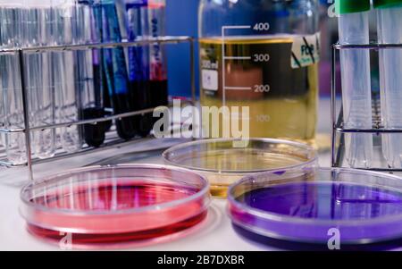 Petrischalen, Reagenzgläser und Laborgeräte, mit Farbflüssigkeiten. Konzept der Wissenschaft, des Labors und der Erforschung von Krankheiten. Stockfoto