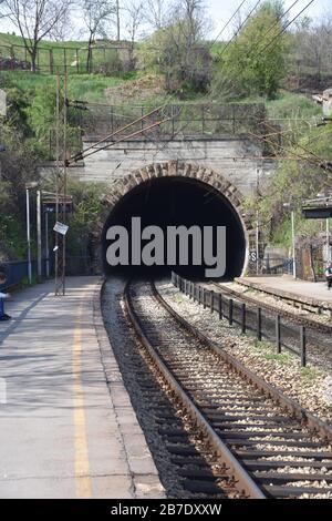 Eisenbahntunnel mit zwei Gleisen. Über dem Tunnel ist Grün Stockfoto