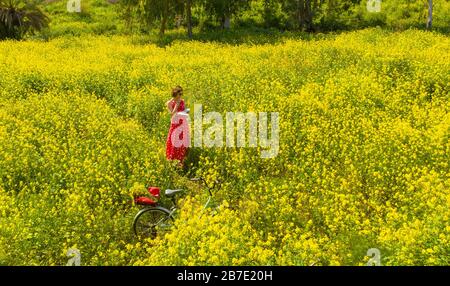 Ein freiberufliches Mädchen arbeitet hinter einem Laptop in einer Frühlingsblume und einem sonnigen Feld, ein freiberufliches Mädchen arbeitet an einem Laptop in einem Frühlingsblumen- und Sonnenfeld. Stockfoto