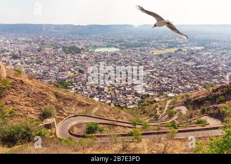 Jaipur Skyline und die Straße nach Nahargarh Fort, Indien Stockfoto