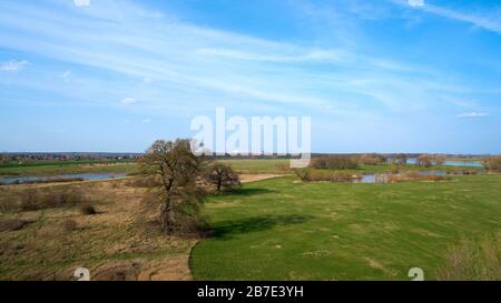 Blick auf die Wiesen am Elbufer bei Glindenberg in Sachsen-Anhalt Stockfoto