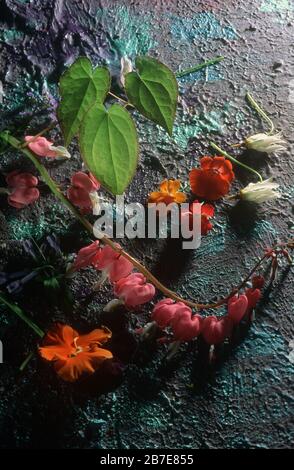 Blumen Stockfoto