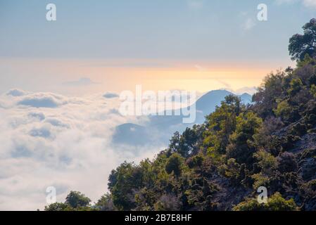 Rouvas Wald auf dem Berg Psiloritis, mit Bächen und farbenfrohen Plantagen im Frühling, auf Crete, Griechenland Stockfoto