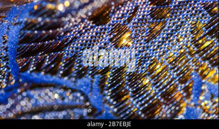 Blauer und goldener abstrakter Unschärfe-Unschärfer entschärft den Hintergrund. Konzept für Silvester, Weihnachten und frohe Feiertage Stockfoto