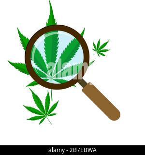 Grünes Cannabisblatt mit Lupe. Medizinisches Marihuana-Blatt isoliert. Vektorgrafiken. Stock Vektor