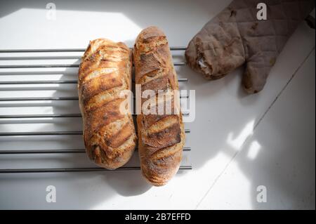 Draufsicht auf zwei frisch gebackene hausgemachte Brotlafette, die auf einem Rechen an der Küchenecke abkühlen. Stockfoto