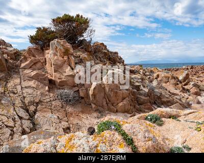 Der Strand von cala Crucitta in caprera, la maddalena Insel, sardinien Stockfoto