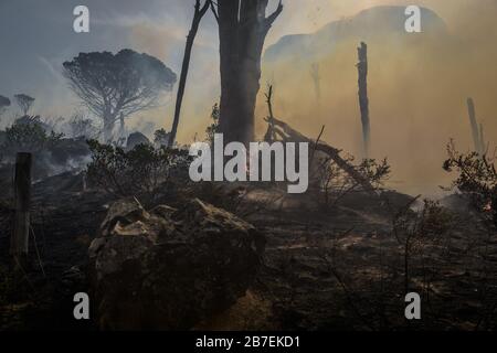 Feuerwehrleute bekämpfen ein wildes Feuer auf den hängen des Tafelbergs von Kapstadt und Südafrikas Wahrzeichen Stockfoto